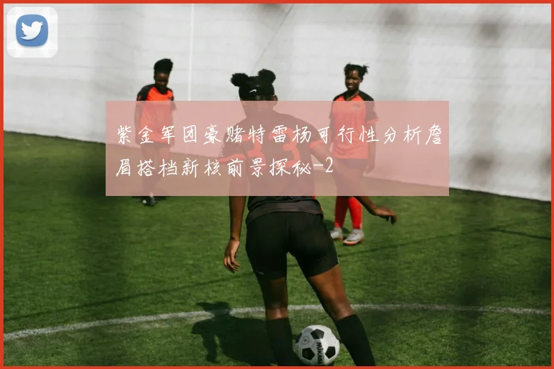 紫金军团豪赌特雷杨可行性分析詹眉搭档新核前景探秘